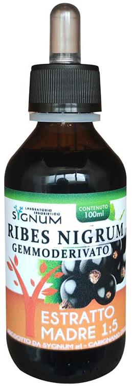 ND Ribes Nigrum Gd 100 ml